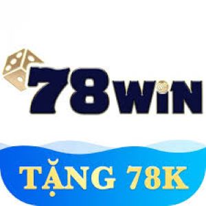 78Win V8